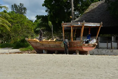 DSC_5490 (Large).JPG